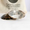 Coquillage d'allaitement